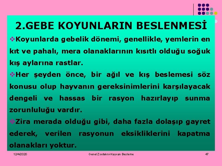 2. GEBE KOYUNLARIN BESLENMESİ v. Koyunlarda gebelik dönemi, genellikle, yemlerin en kıt ve pahalı,