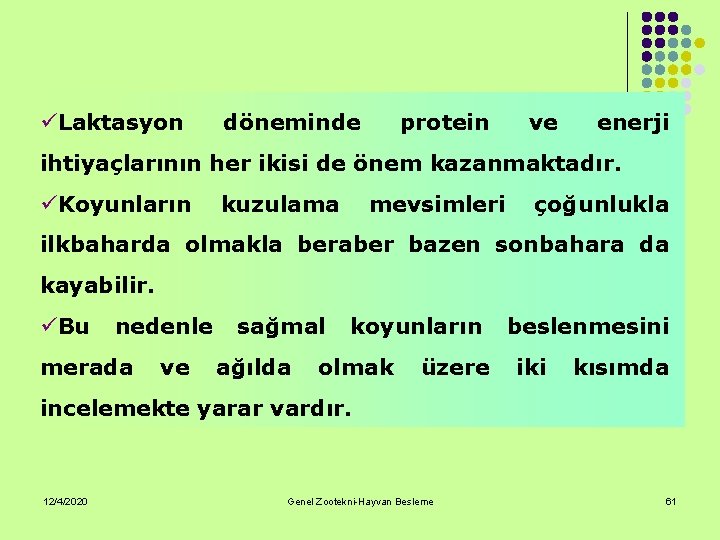 üLaktasyon döneminde protein ve enerji ihtiyaçlarının her ikisi de önem kazanmaktadır. üKoyunların kuzulama mevsimleri