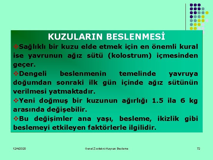 KUZULARIN BESLENMESİ v. Sağlıklı bir kuzu elde etmek için en önemli kural ise yavrunun