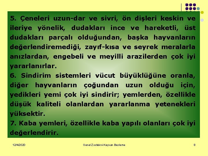 5. Çeneleri uzun-dar ve sivri, ön dişleri keskin ve ileriye yönelik, dudakları ince ve