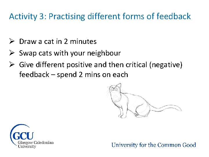 Activity 3: Practising different forms of feedback Ø Draw a cat in 2 minutes