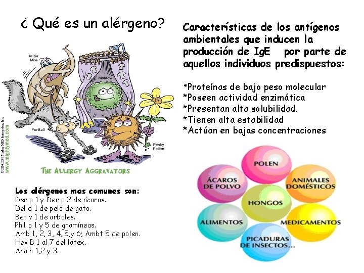 ¿ Qué es un alérgeno? Características de los antígenos ambientales que inducen la producción