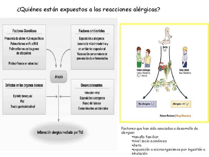 ¿Quiénes están expuestos a las reacciones alérgicas? Factores que han sido asociados a desarrollo