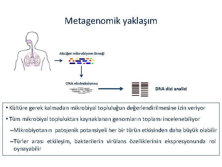 Metagenomik yaklaşım DNA dizi analizi • Kültüre gerek kalmadan mikrobiyal topluluğun değerlendirilmesine izin veriyor