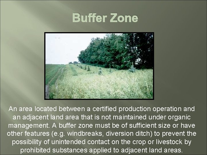 Buffer Zone An area located between a certified production operation and an adjacent land