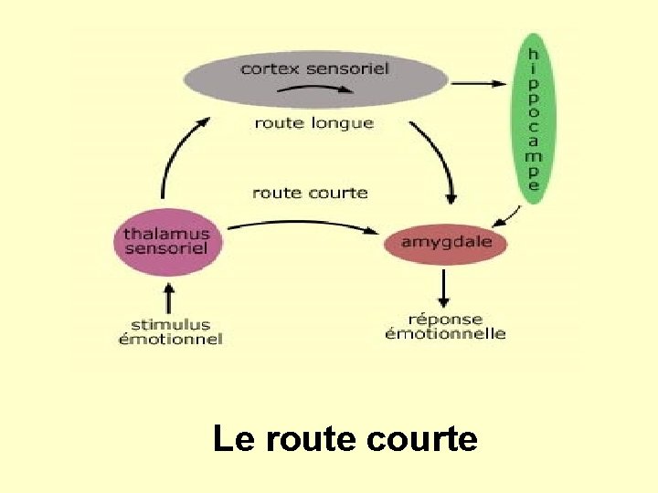 Le route courte 