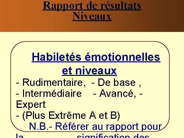 Rapport de résultats Niveaux Habiletés émotionnelles et niveaux - Rudimentaire, - De base ,