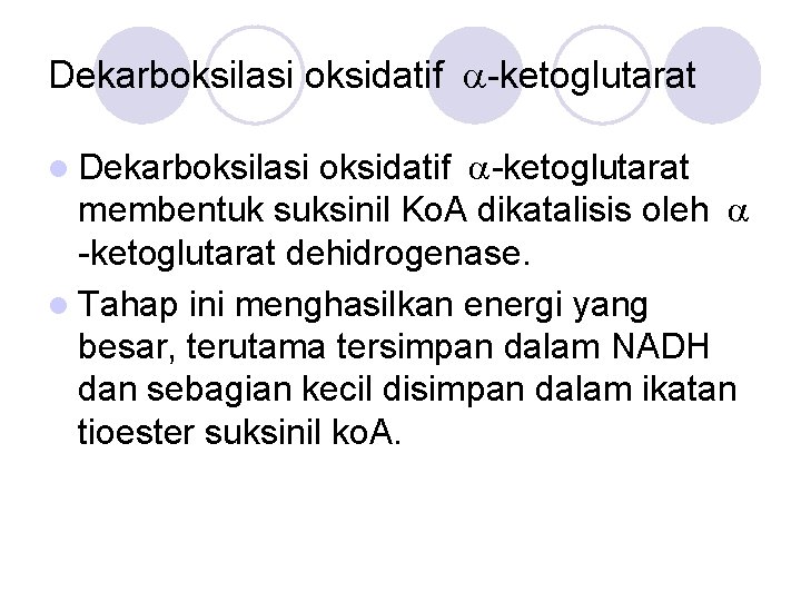 Dekarboksilasi oksidatif -ketoglutarat membentuk suksinil Ko. A dikatalisis oleh -ketoglutarat dehidrogenase. l Tahap ini