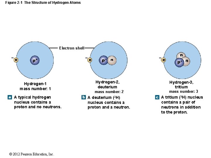 Figure 2 -1 The Structure of Hydrogen Atoms Electron shell Hydrogen-1 mass number: 1