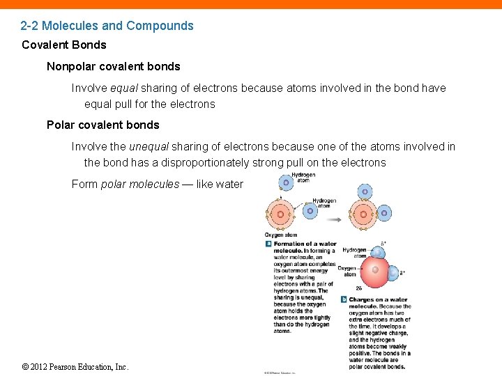 2 -2 Molecules and Compounds Covalent Bonds Nonpolar covalent bonds Involve equal sharing of