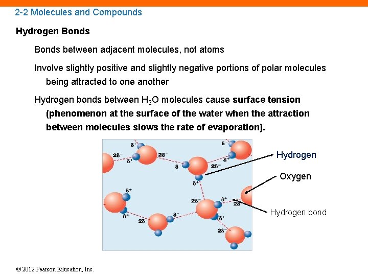 2 -2 Molecules and Compounds Hydrogen Bonds between adjacent molecules, not atoms Involve slightly