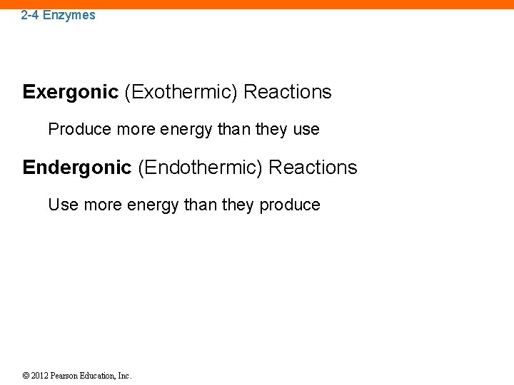 2 -4 Enzymes Exergonic (Exothermic) Reactions Produce more energy than they use Endergonic (Endothermic)