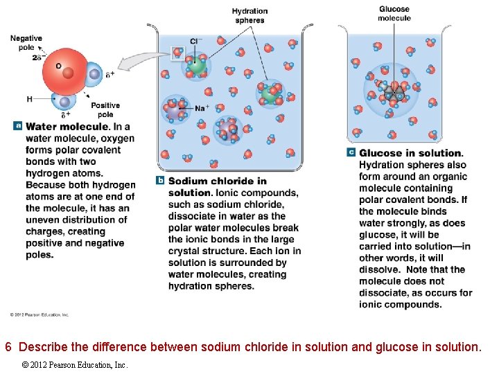 6 Describe the difference between sodium chloride in solution and glucose in solution. ©