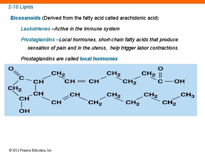 2 -10 Lipids Eicosanoids (Derived from the fatty acid called arachidonic acid) Leukotrienes –Active