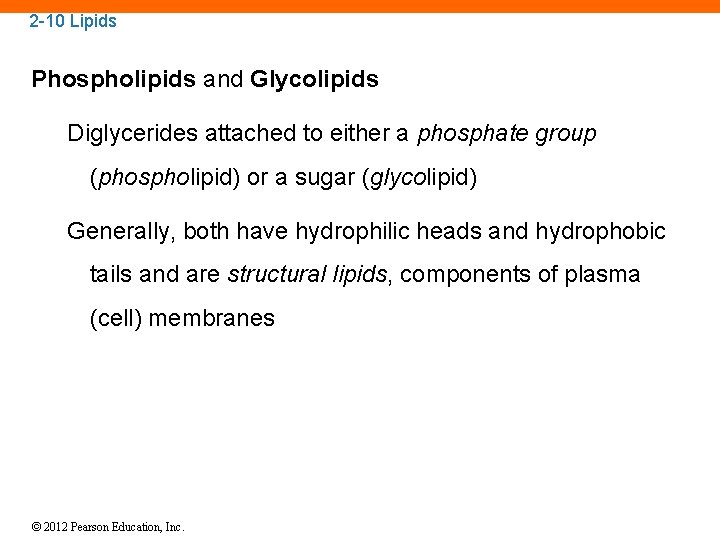 2 -10 Lipids Phospholipids and Glycolipids Diglycerides attached to either a phosphate group (phospholipid)