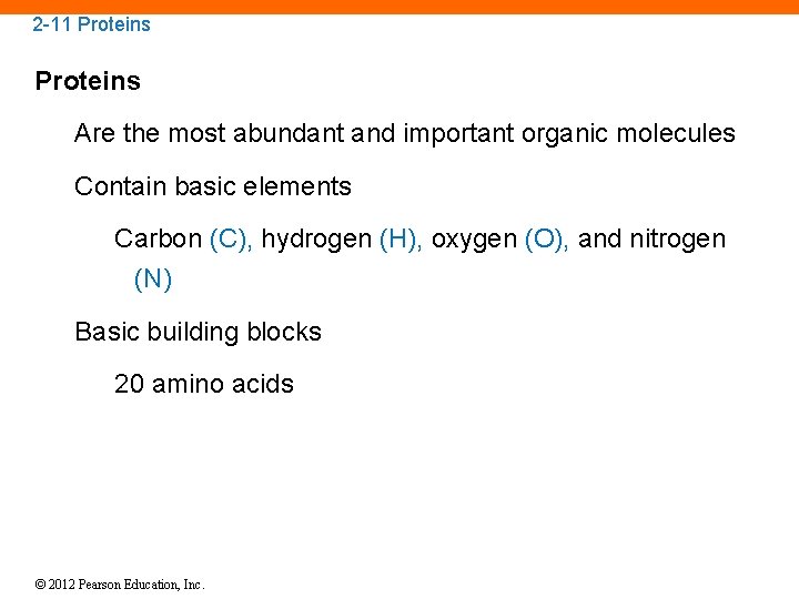 2 -11 Proteins Are the most abundant and important organic molecules Contain basic elements