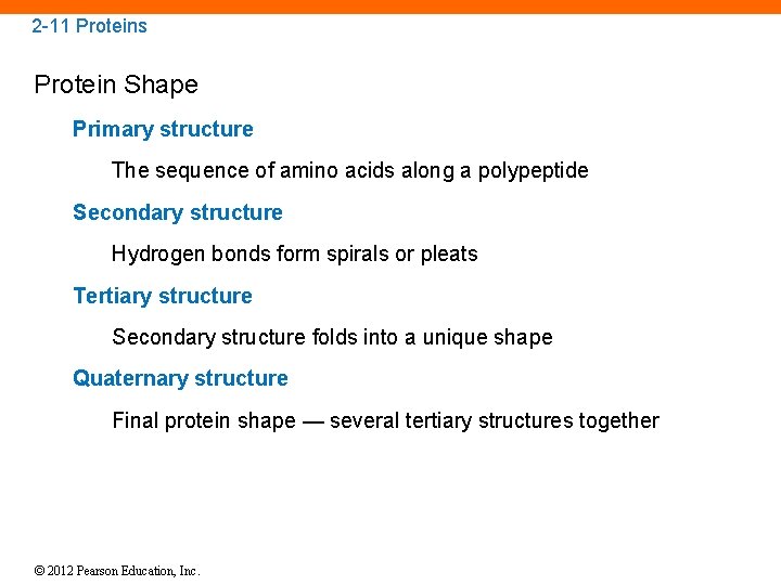 2 -11 Proteins Protein Shape Primary structure The sequence of amino acids along a