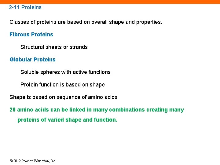 2 -11 Proteins Classes of proteins are based on overall shape and properties. Fibrous