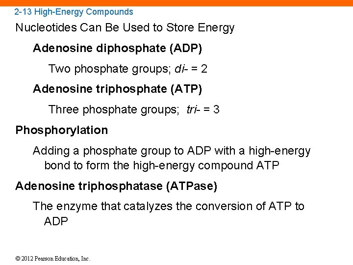 2 -13 High-Energy Compounds Nucleotides Can Be Used to Store Energy Adenosine diphosphate (ADP)