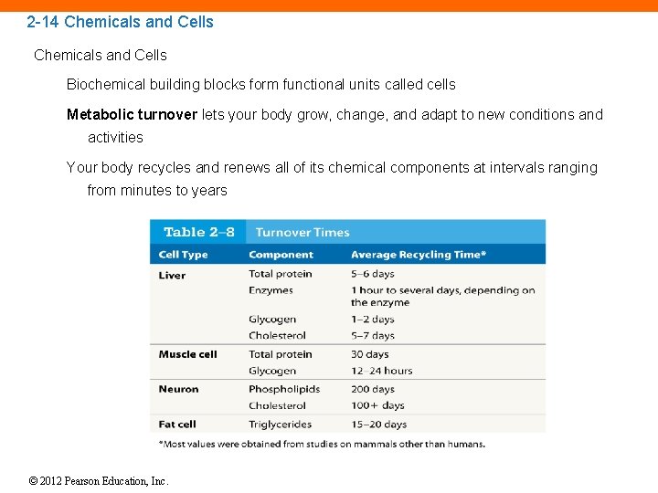 2 -14 Chemicals and Cells Biochemical building blocks form functional units called cells Metabolic