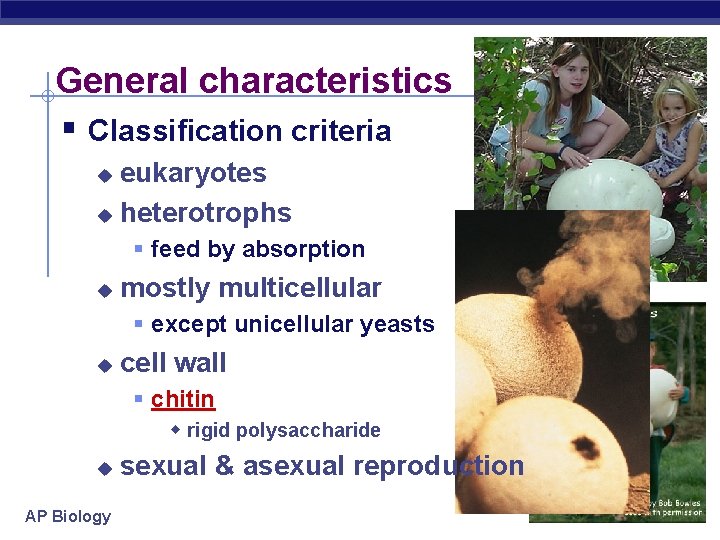 General characteristics § Classification criteria eukaryotes u heterotrophs u § feed by absorption u