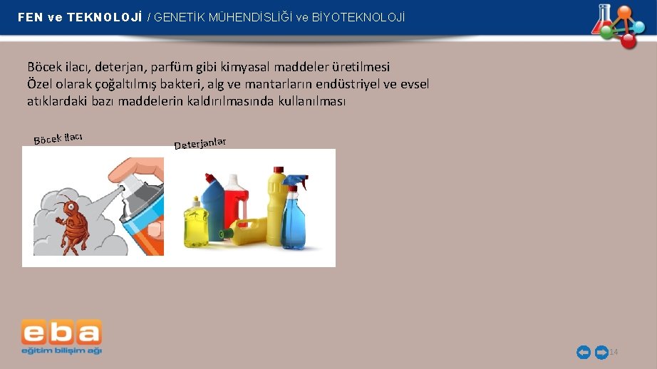 FEN ve TEKNOLOJİ / GENETİK MÜHENDİSLİĞİ ve BİYOTEKNOLOJİ Böcek ilacı, deterjan, parfüm gibi kimyasal