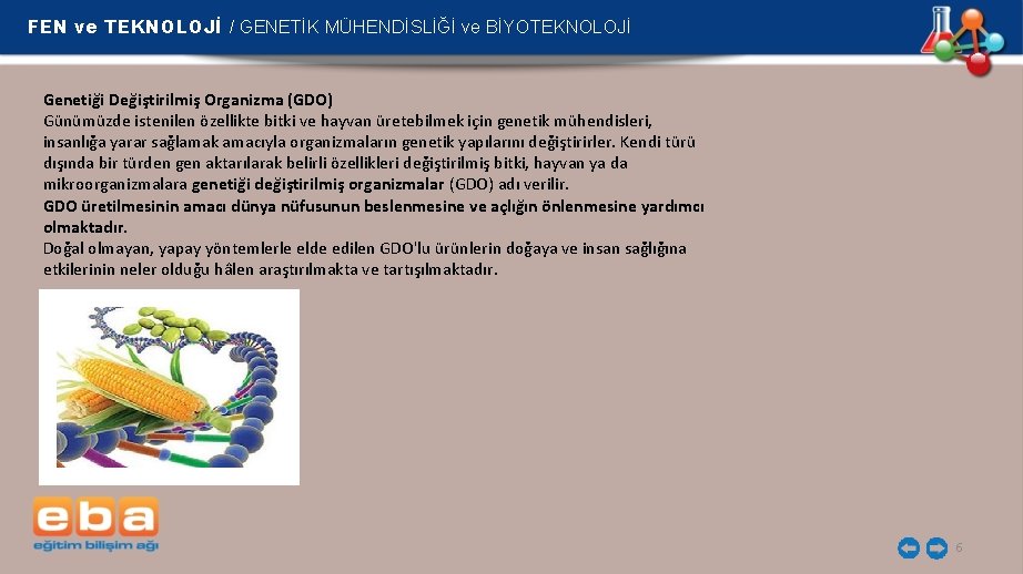 FEN ve TEKNOLOJİ / GENETİK MÜHENDİSLİĞİ ve BİYOTEKNOLOJİ Genetiği Değiştirilmiş Organizma (GDO) Günümüzde istenilen