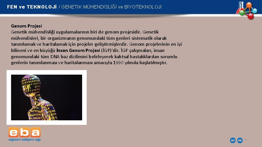 FEN ve TEKNOLOJİ / GENETİK MÜHENDİSLİĞİ ve BİYOTEKNOLOJİ Genom Projesi Genetik mühendisliği uygulamalarının biri