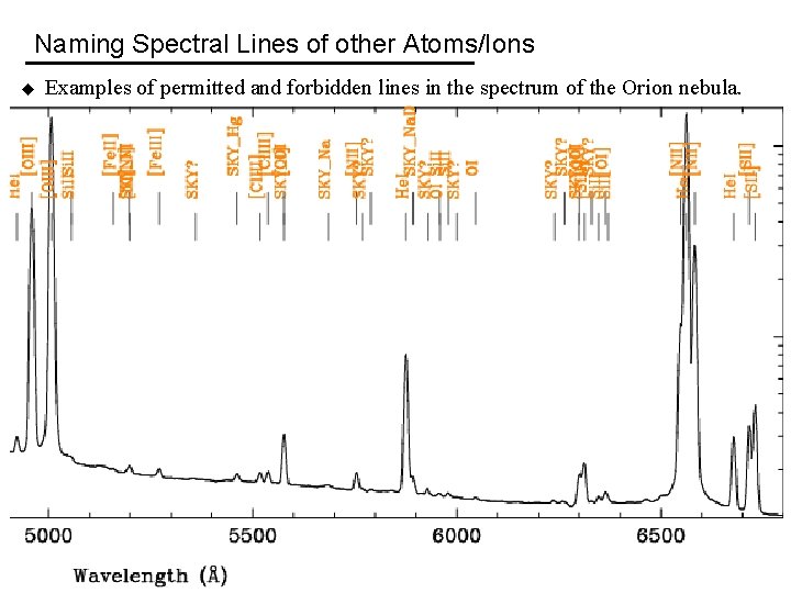 Naming Spectral Lines of other Atoms/Ions u Examples of permitted and forbidden lines in
