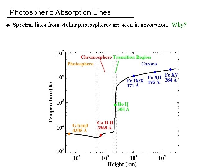 Photospheric Absorption Lines u Spectral lines from stellar photospheres are seen in absorption. Why?