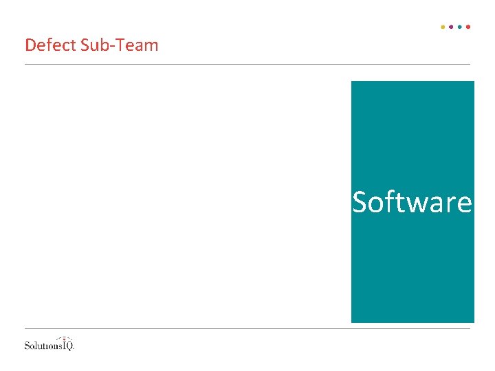 Defect Sub-Team Software 