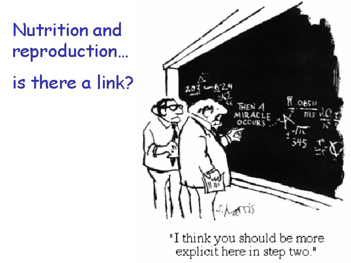 Nutrition and reproduction… is there a link? 
