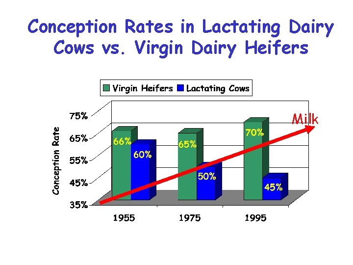 Conception Rates in Lactating Dairy Cows vs. Virgin Dairy Heifers Milk 