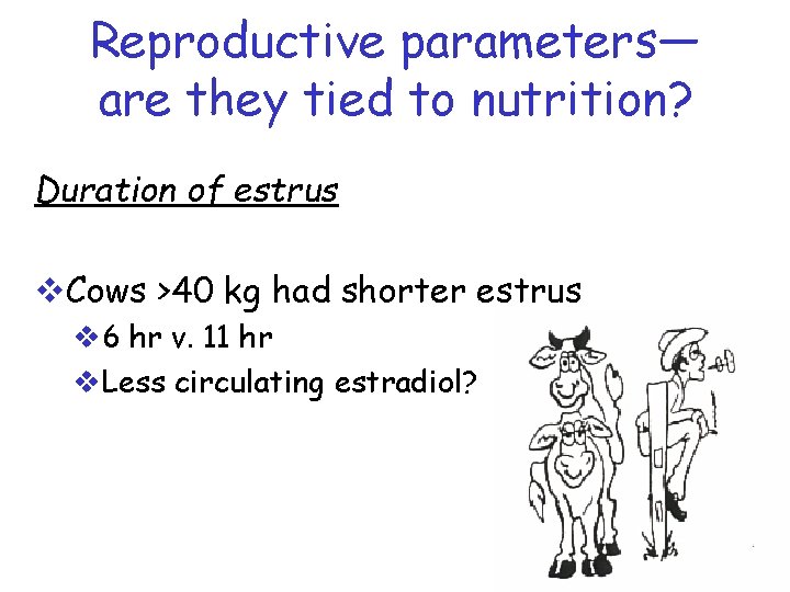 Reproductive parameters— are they tied to nutrition? Duration of estrus v. Cows >40 kg