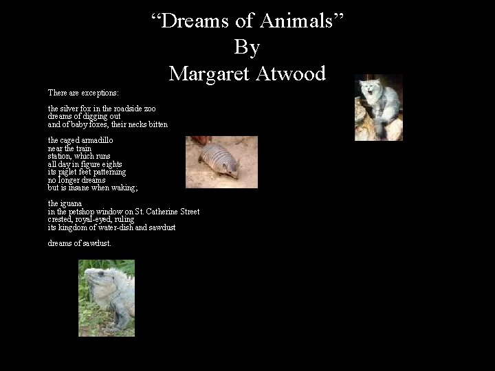 “Dreams of Animals” By Margaret Atwood There are exceptions: the silver fox in the