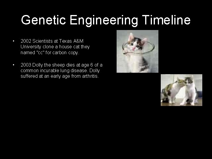 Genetic Engineering Timeline • 2002 Scientists at Texas A&M University clone a house cat