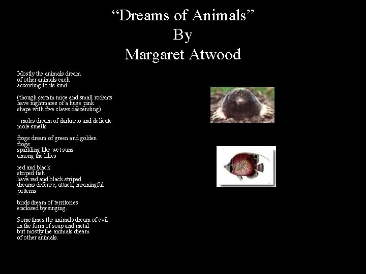 “Dreams of Animals” By Margaret Atwood • Margaret Atwood, Dreams of the Animals Mostly