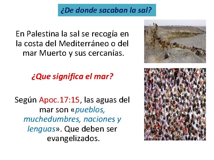 ¿De donde sacaban la sal? En Palestina la sal se recogía en la costa