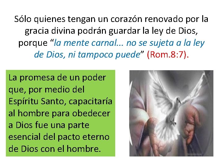 Sólo quienes tengan un corazón renovado por la gracia divina podrán guardar la ley