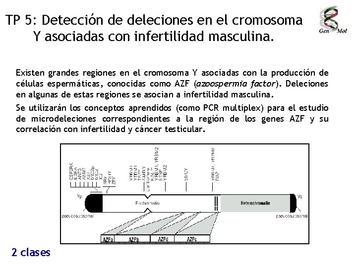 TP 5: Detección de deleciones en el cromosoma Y asociadas con infertilidad masculina. Existen