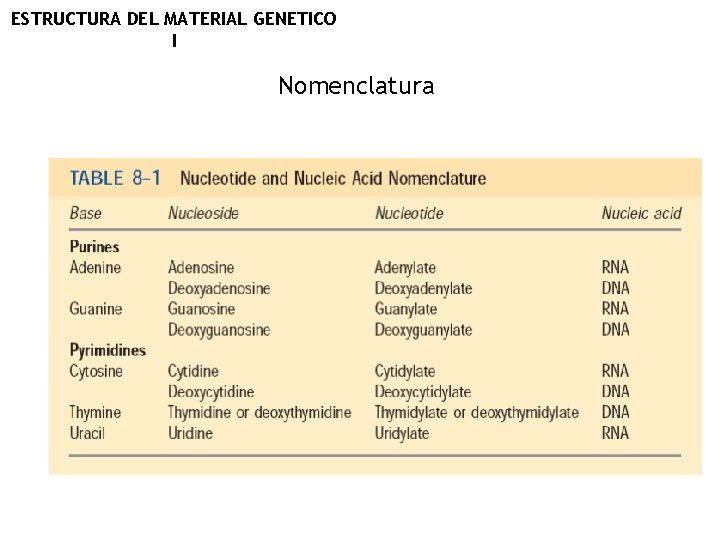 ESTRUCTURA DEL MATERIAL GENETICO I Nomenclatura 