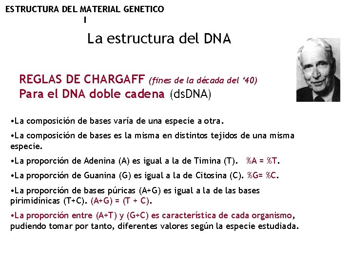 ESTRUCTURA DEL MATERIAL GENETICO I La estructura del DNA REGLAS DE CHARGAFF (fines de