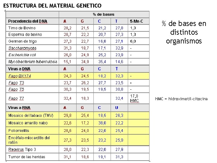 ESTRUCTURA DEL MATERIAL GENETICO I % de bases en distintos organismos HMC = hidroximetil-citocina