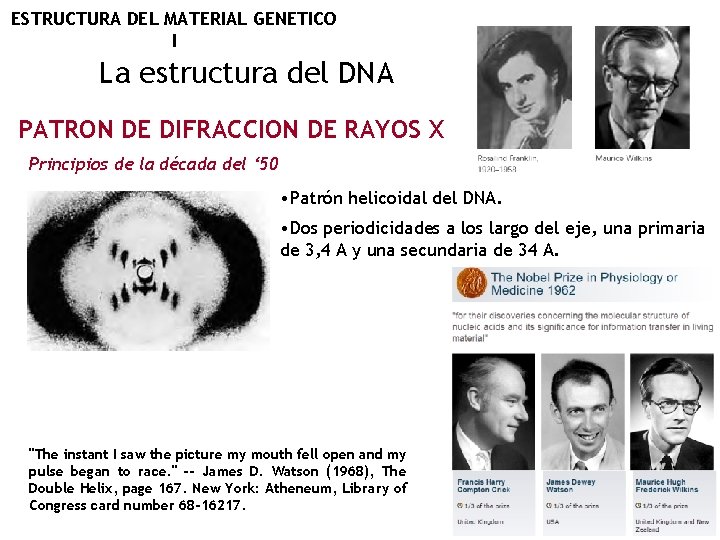 ESTRUCTURA DEL MATERIAL GENETICO I La estructura del DNA PATRON DE DIFRACCION DE RAYOS