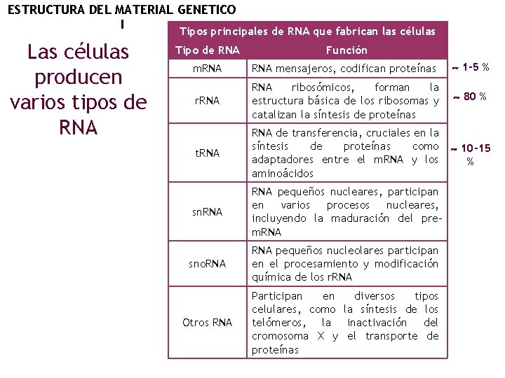 ESTRUCTURA DEL MATERIAL GENETICO I Tipos principales de RNA que fabrican las células Las