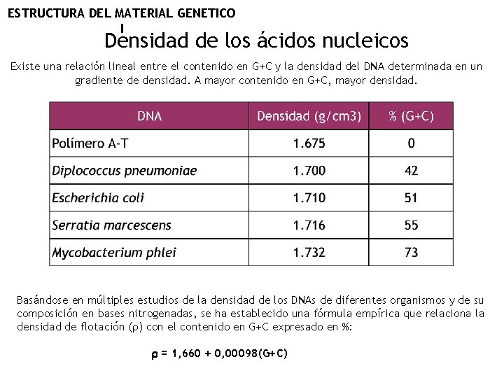 ESTRUCTURA DEL MATERIAL GENETICO I Densidad de los ácidos nucleicos Existe una relación lineal