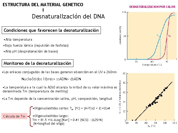 ESTRUCTURA DEL MATERIAL GENETICO I Desnaturalización del DNA Condiciones que favorecen la desnaturalización •