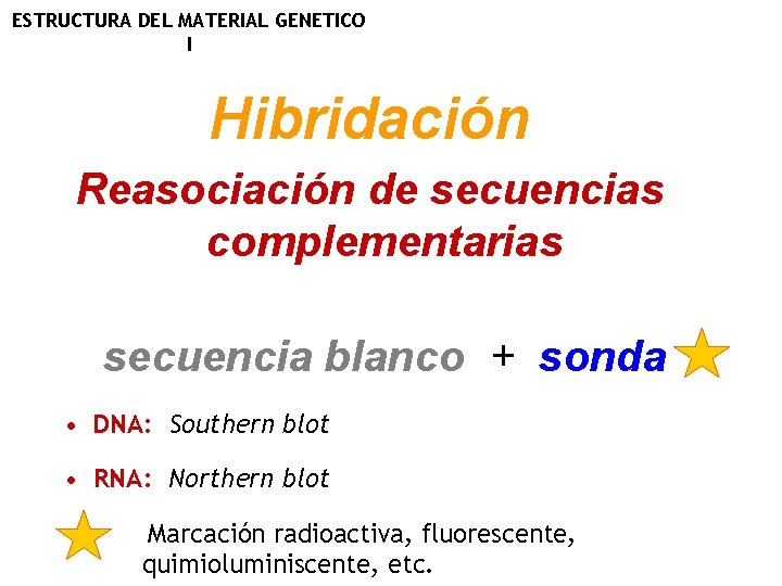 ESTRUCTURA DEL MATERIAL GENETICO I Hibridación Reasociación de secuencias complementarias secuencia blanco + sonda