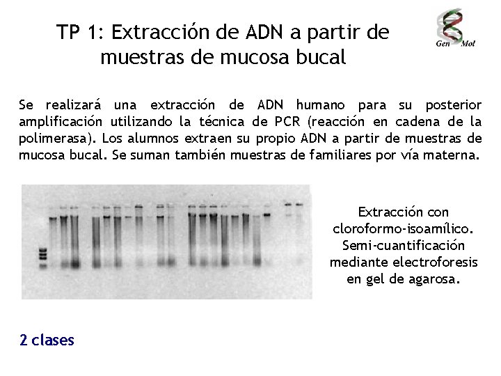 TP 1: Extracción de ADN a partir de muestras de mucosa bucal Se realizará