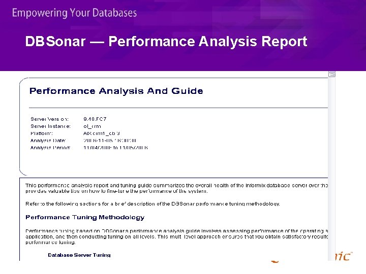 DBSonar — Performance Analysis Report 
